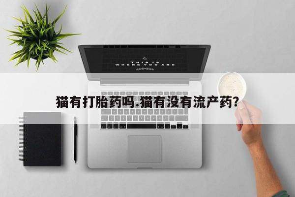网上米非米索在线购买猫有打胎药吗.猫有没有流产药？