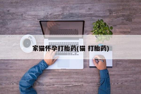 网上米非米索在线购买家猫怀孕打胎药(猫 打胎药)